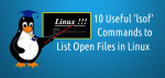 Linux'ta 10 lsof Komut Örneği