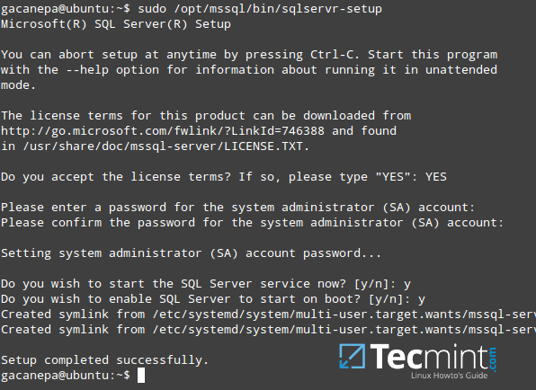 SQL Server-Setup unter Linux