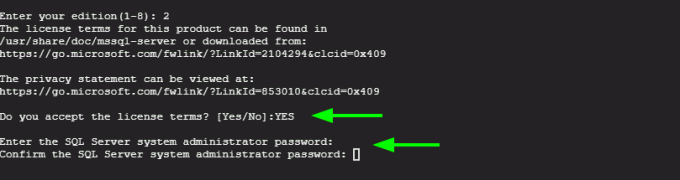 Установить пароль администратора SQL Server